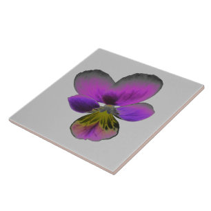 Pansy Wild Dark Lila Tile Fliese