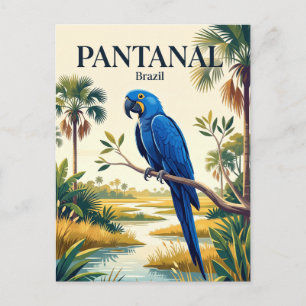 Pantanal Brasilien Postkarte