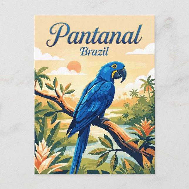 Pantanal Brasilien Postkarte (Vorderseite)