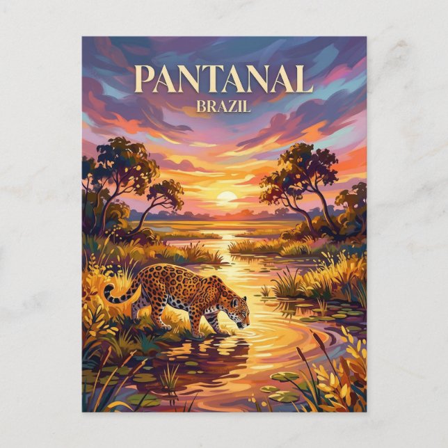 Pantanal Brasilien Postkarte (Vorderseite)