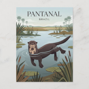 Pantanal Brasilien Postkarte