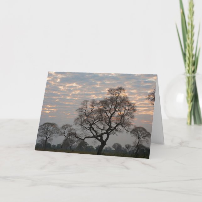 Pantanal Feuchtgebiete | Südamerika, Brasilien Karte (Vorderseite)