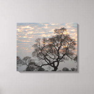 Pantanal Feuchtgebiete   Südamerika, Brasilien Leinwanddruck