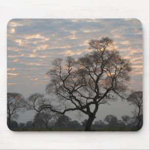 Pantanal Feuchtgebiete   Südamerika, Brasilien Mousepad