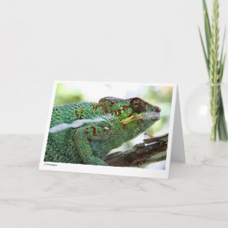 Panther chameleon Gift Card Karte