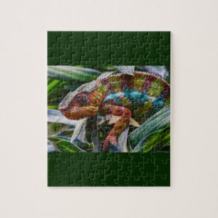 Panther Chameleon Puzzle