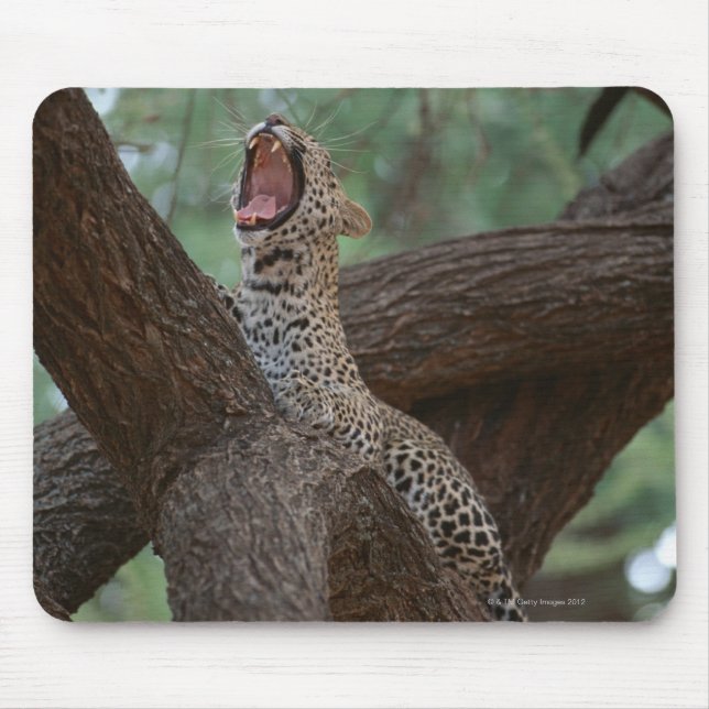 Panther Mousepad (Vorne)