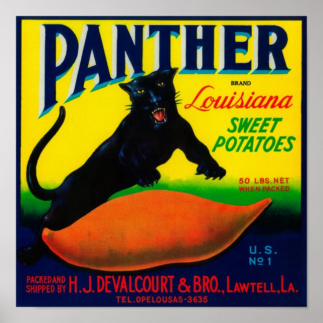 Panther Yam LabelLawtell, LA Poster (Vorne)