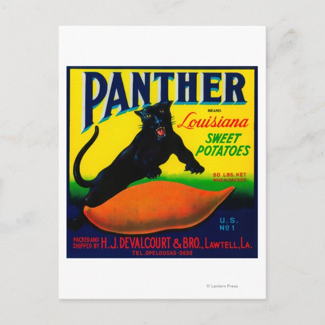 Panther Yam LabelLawtell, LA Postkarte (Vorderseite)