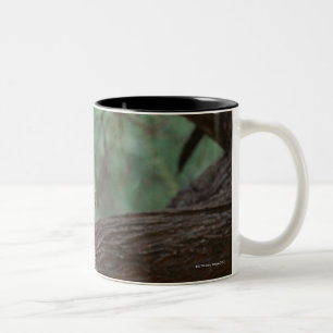 Panther Zweifarbige Tasse