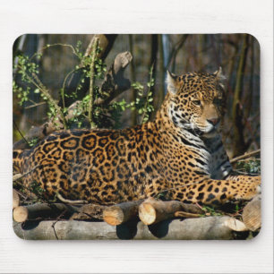 Panthera-Jaguar-Mausunterlage Mousepad