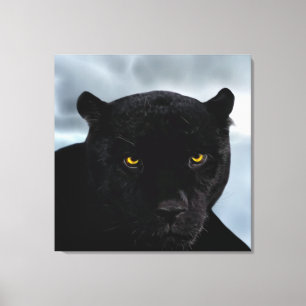Panthera Leinwanddruck