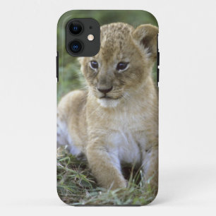 Panthera leo), Tansania, Case-Mate iPhone Hülle