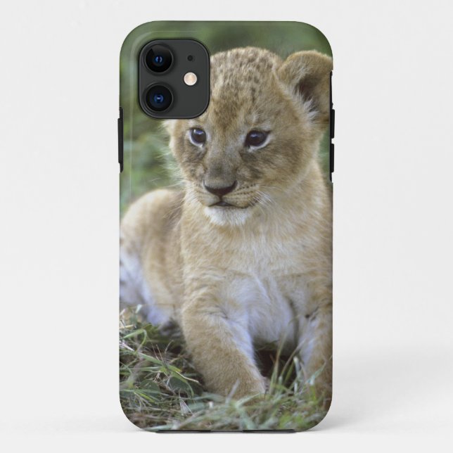 Panthera leo), Tansania, Case-Mate iPhone Hülle (Rückseite)