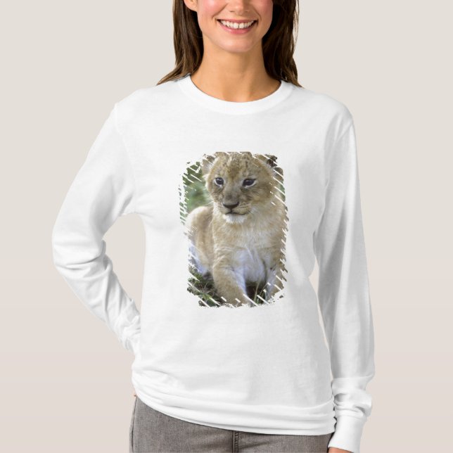 Panthera leo), Tansania, T-Shirt (Vorderseite)