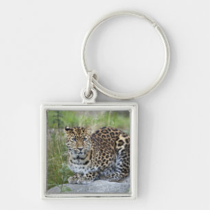 Panthera pardus orientalis schlüsselanhänger
