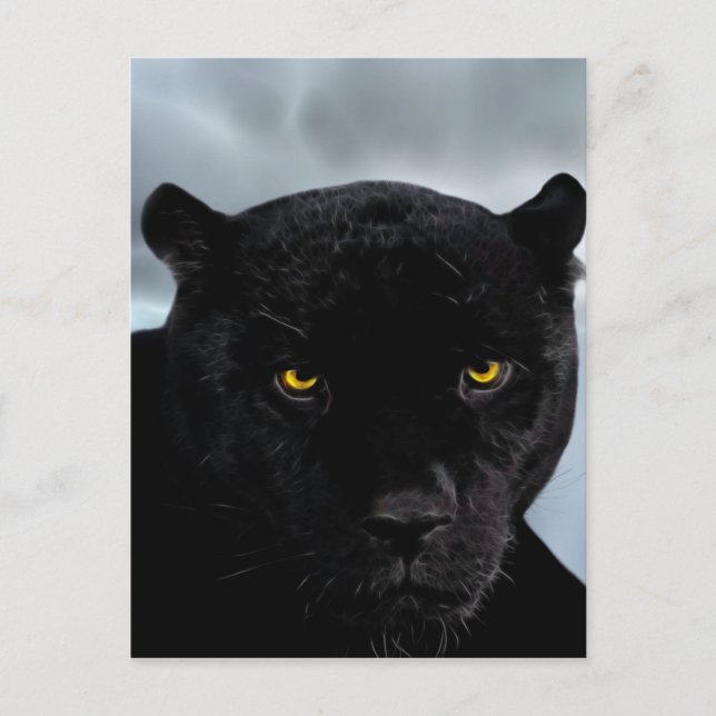 Panthera Postkarte (Vorderseite)