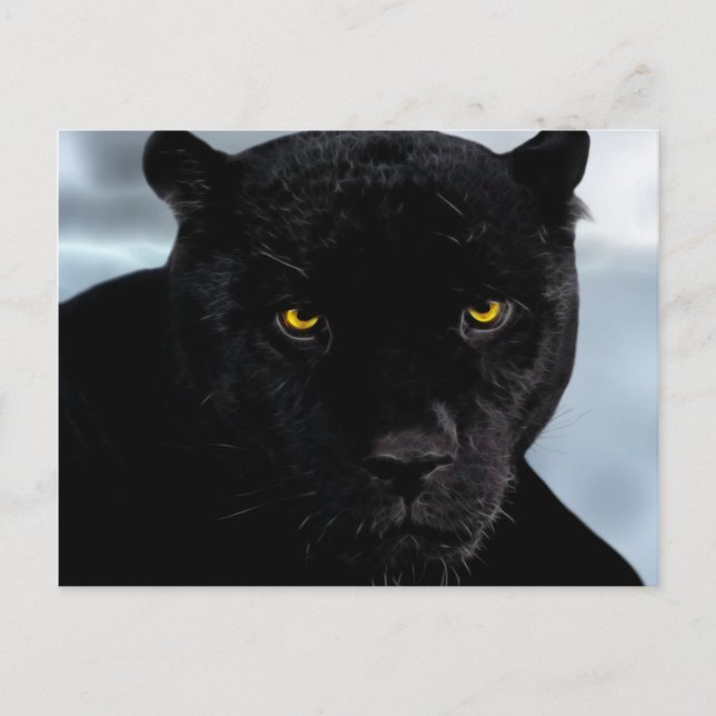 Panthera Postkarte (Vorderseite)