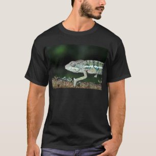 Pantherchamäleon T-Shirt