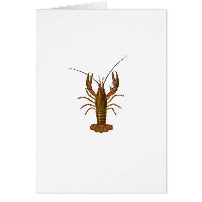 Panzerkrebs-Logo (Vorne)