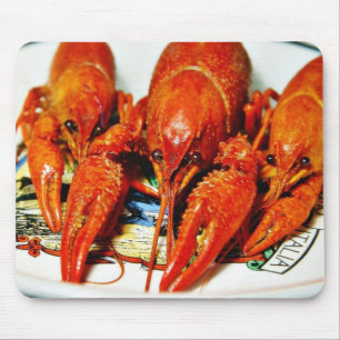 PanzerkrebseCrawdads Craytfish Mousepad