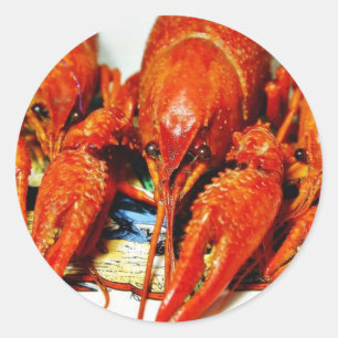 PanzerkrebseCrawdads Craytfish Runder Aufkleber