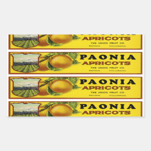 Paonia Apricots - Filmtabletten Rechteckiger Aufkleber