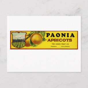 Paonia-Aprikosen-Etikettenkunst Postkarte