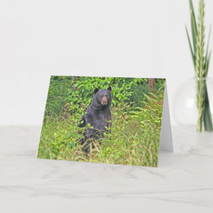 Papa Bear Vatertag Karte