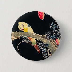 Papagei am Rande einer blühenden Rose Bush Button