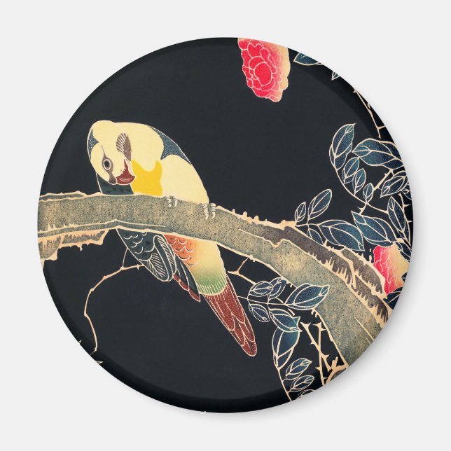 Papagei am Rande einer blühenden Rose Bush Magnet (Vorne)