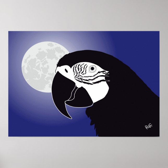 Papagei Ara Poster (Vorne)