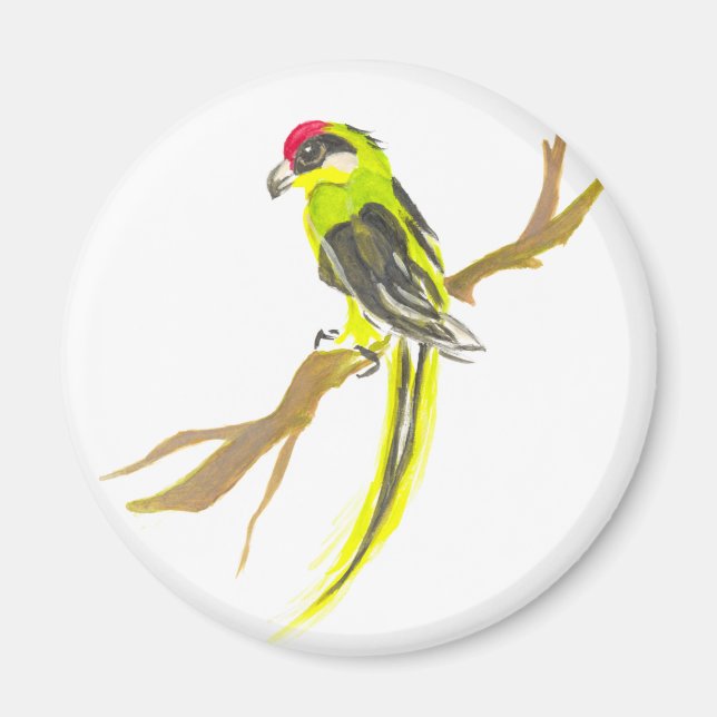 Papagei auf einem Zweig. Aquarellmalerei Magnet (Vorne)