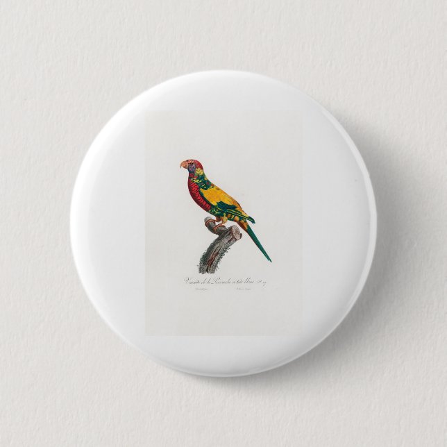 Papagei Button (Vorderseite)