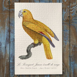 Papagei des Paradieses von Kuba, Psittacus Paradis Puzzle