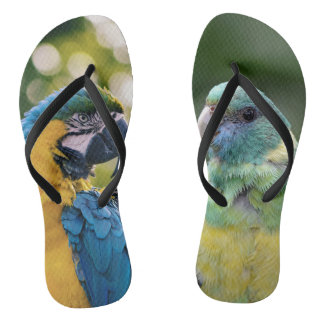 Papagei gemustert  flip flops