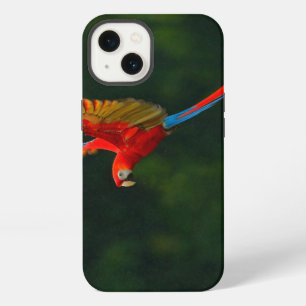 Papagei im Flug iPhone 13 Hülle