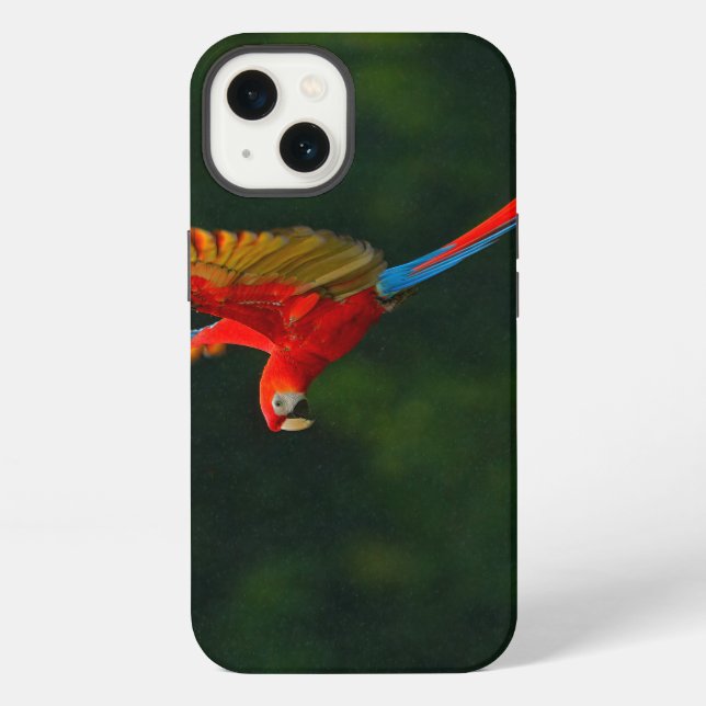 Papagei im Flug iPhone Hülle (Rückseite)