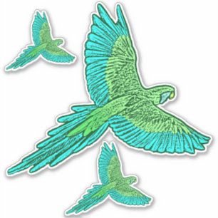 Papagei im Flug, Jade Green und Türkis Aufkleber