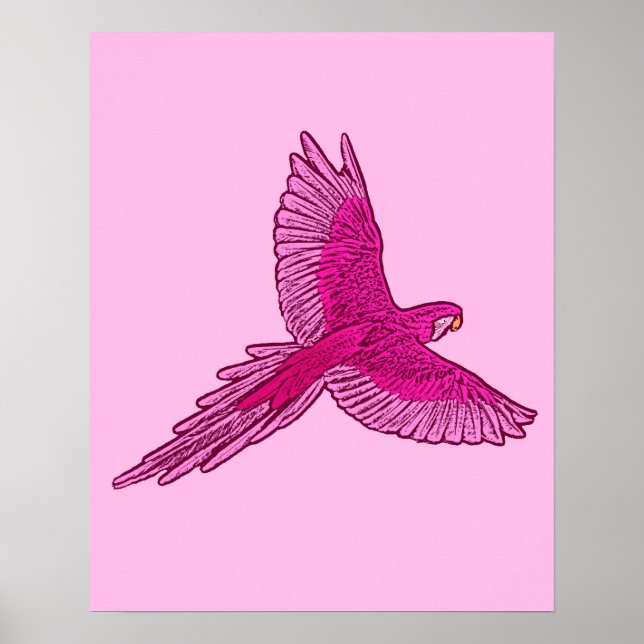 Papagei in Flight, Fuchsia und Eispink Poster (Vorne)