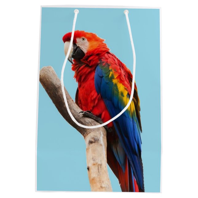Papagei Mittlere Geschenktüte (Rückseite)