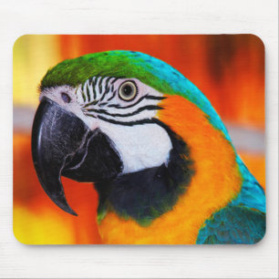 Papagei Mousepad