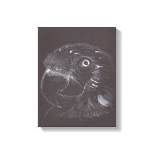 Papagei - Original Zeichn - Leinwand