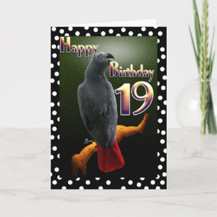 Papagei-Papageienvogelpolka Punkt 19 Geburtstag Karte