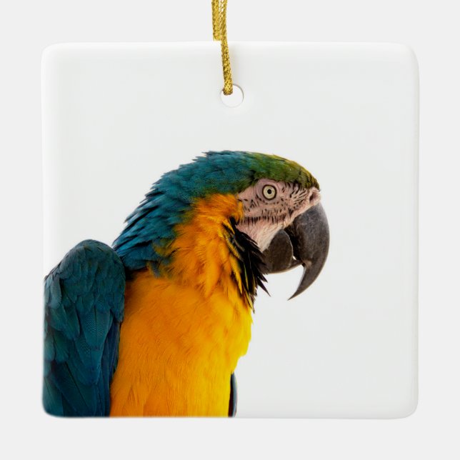Papagei-Post-it-Hinweise Keramikornament (Vorderseite)