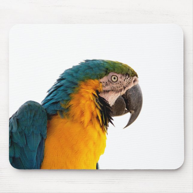 Papagei-Post-it-Hinweise Mousepad (Vorne)