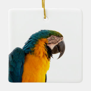 Papagei Post-it Notizen Keramikornament