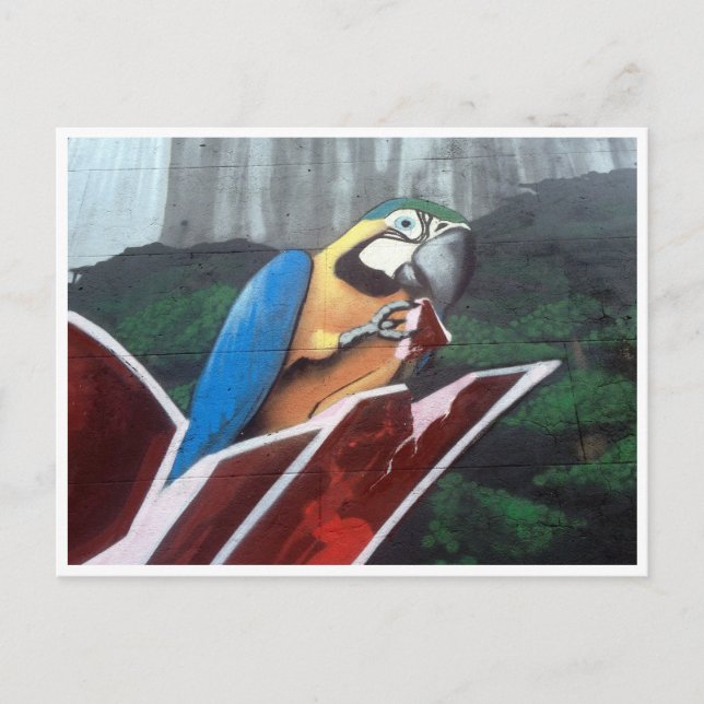 Papagei Postkarte (Vorderseite)