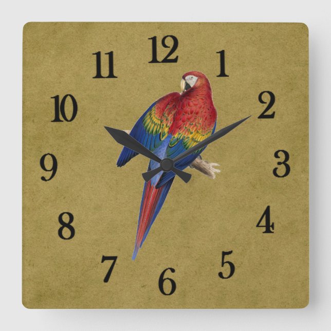 Papagei Quadratische Wanduhr (Vorderseite)
