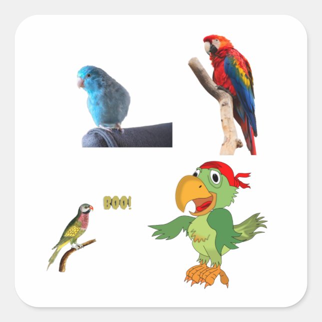 Papagei Quadratischer Aufkleber (Vorderseite)